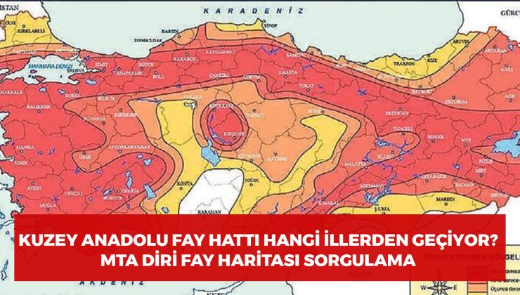 Kuzey Anadolu Fay Hattı Hangi İllerden Geçiyor? MTA Diri Fay Hattı Haritası Sorgulama