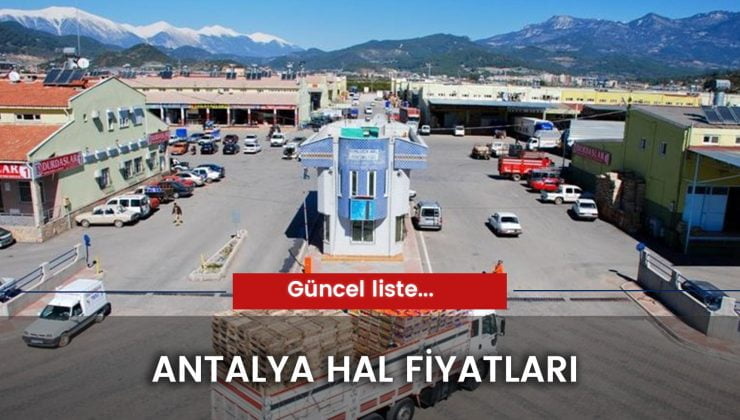 Antalya Hal Fiyatları 2024: Bugünkü Güncel Tablo