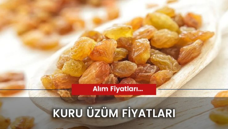 Kuru Üzüm Fiyatları 2024: Alaşehir’de Kuru Üzüm Ne Kadar?