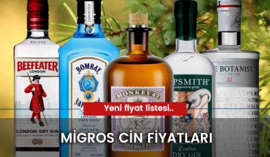 Migros Cin Fiyatları 2024: Gilbey’s, Adalin, Gordon’s Dry