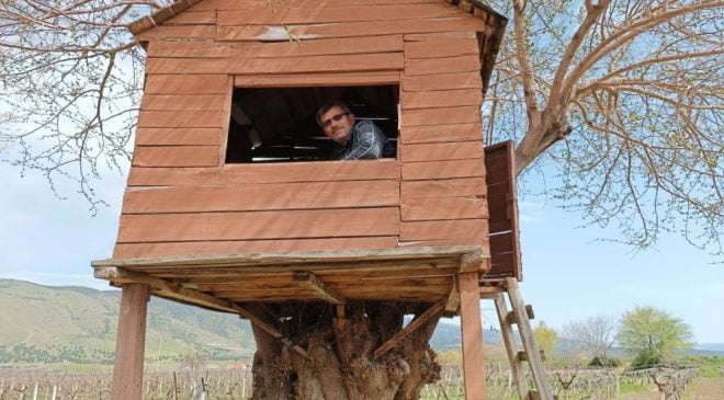 Manisa bağlarında ağaç kondu evleri | Sarıgöl’ün ilgi odağı oldu