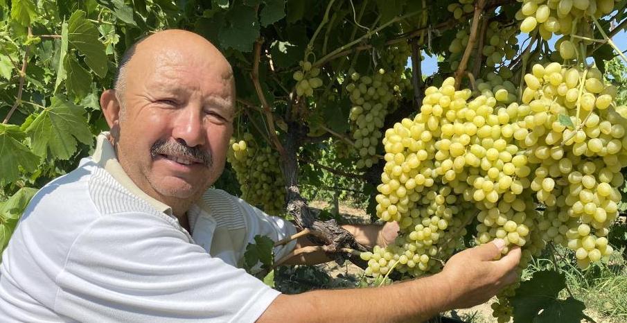 Alaşehirli üzüm üreticilerini sevindiren gelişme| Alışverişlerini güvenle yapabilecekler